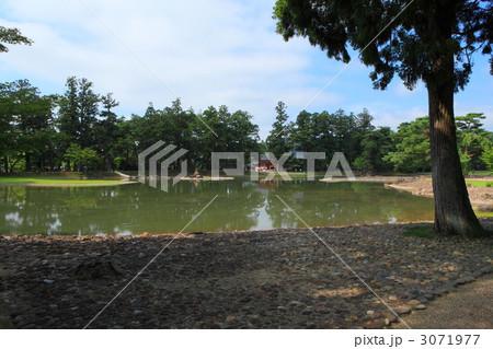 毛越寺庭園 毛越寺庭園 3071977