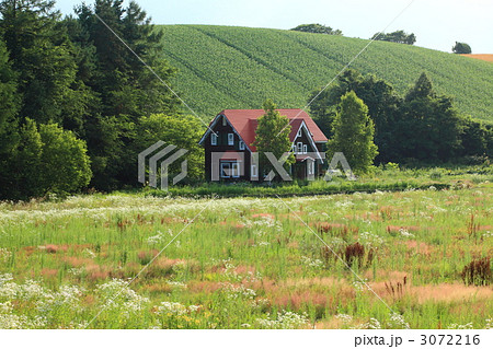 美瑛の丘 3072216