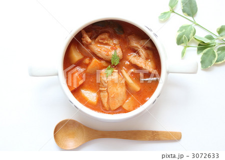 チキンのトマト煮込み 3072633