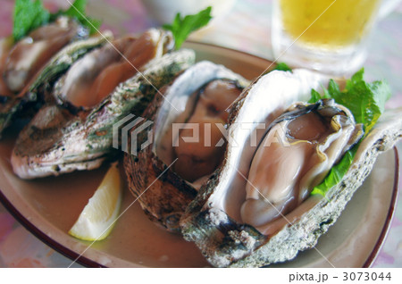 天然岩牡蠣と生ビール 天然岩牡蠣と生ビール 3073044
