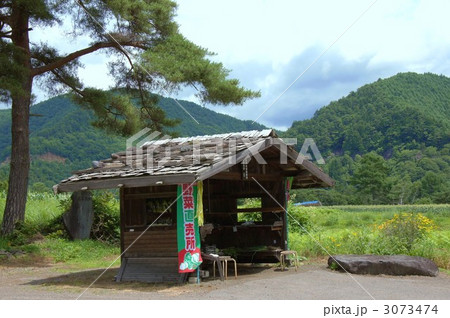 信州開田高原 3073474