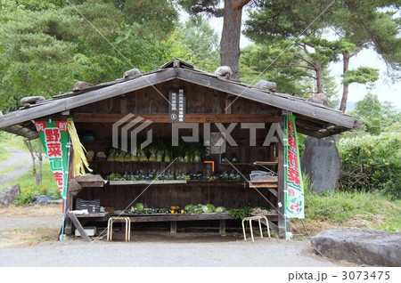 信州開田高原 3073475