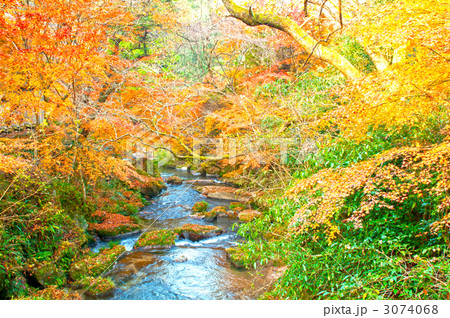 王滝渓谷 3074068