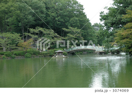 夏の薬師池公園 3074069