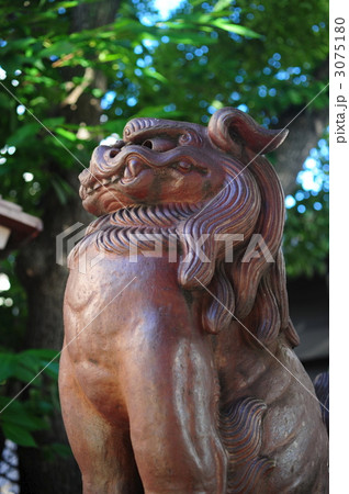 坐摩神社の狛犬 坐摩神社の狛犬 3075180