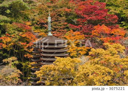 秋の談山神社 3075221