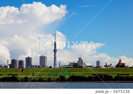 雨上がりの青空が広がる千住の住宅街と東京スカイツリー 3075236