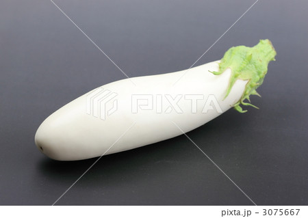 白茄子 白茄子 3075667