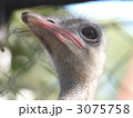 3075758