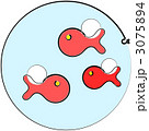 goldfishRed 3075894