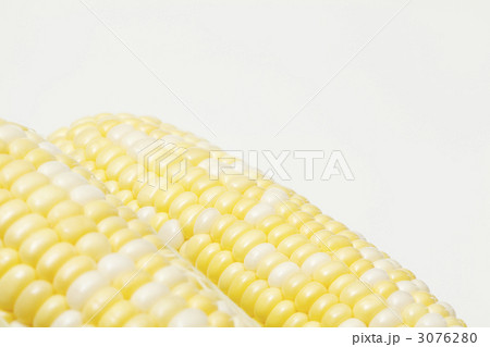 トウモロコシ 3076280