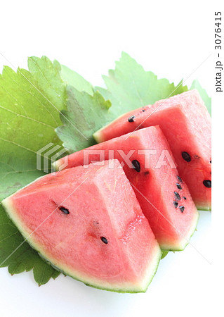 小玉スイカ 3076415