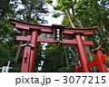 3077215