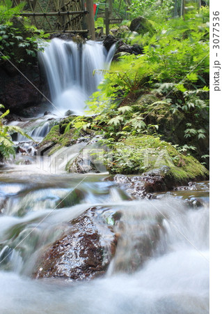 若狭　水の森　瓜破の滝 3077536