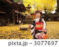 黄葉の祝福 3077697
