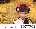 晴れの日 3077702
