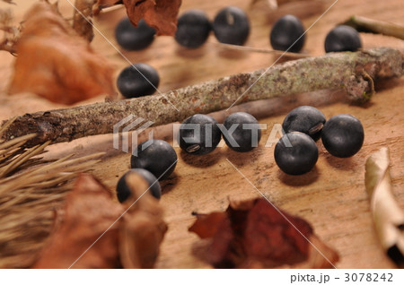 黒豆 黒豆 3078242