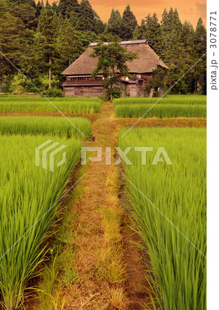 夕方の農村 3078771