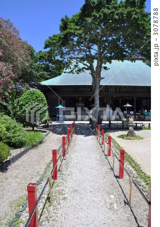 野間大坊 本殿 野間大坊 本殿 3078788