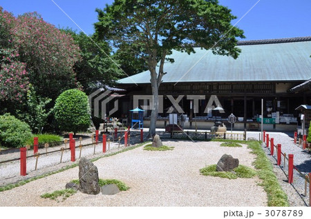 野間大坊　本殿 3078789