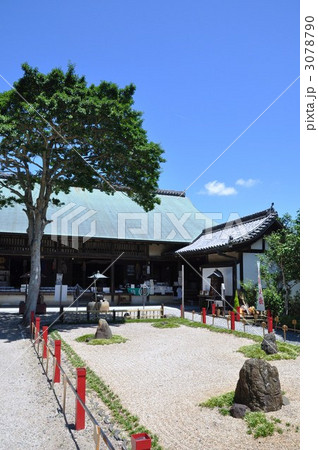 野間大坊　本殿 3078790
