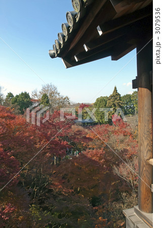 東福寺 通天橋の紅葉 東福寺 通天橋の紅葉 3079536
