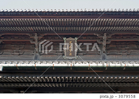 東福寺　三門 3079558