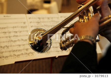 トランペットの生演奏 3079613