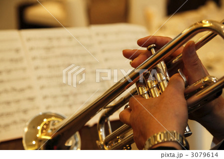 トランペットの生演奏 3079614