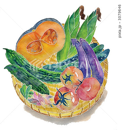 夏野菜のバスケットのイラスト素材