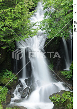竜頭の滝 竜頭の滝 3079864