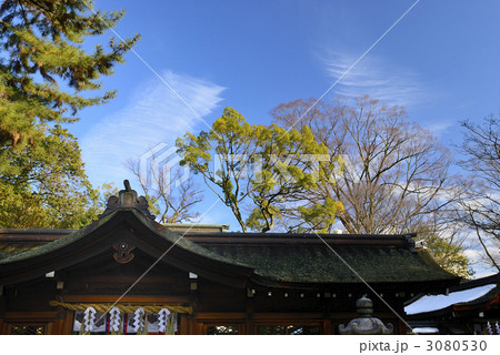 豊国神社 本殿 豊国神社 本殿 3080530