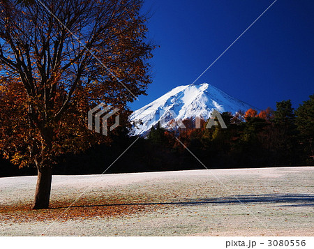 秋の富士山 3080556