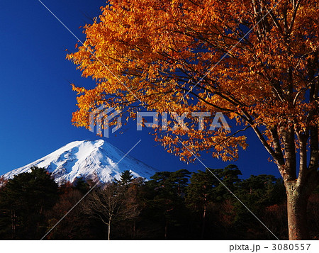 秋の富士山 3080557