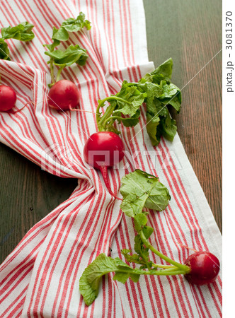 ラディッシュ 3081370