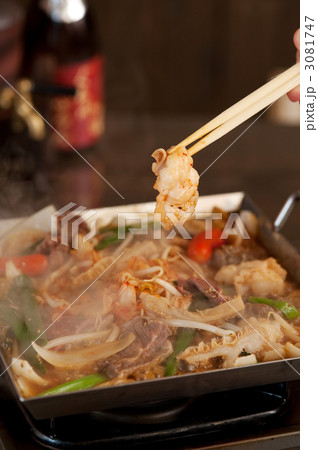 ホルモン鍋 3081747