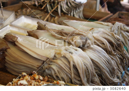 イカの干物 イカの干物 3082640