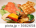 ベジタリアン 3082658