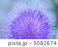3082674