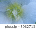 3082713