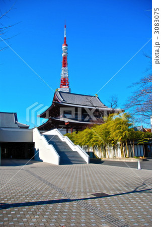 増上寺の大殿と東京タワー（東京都港区芝公園） 3083075