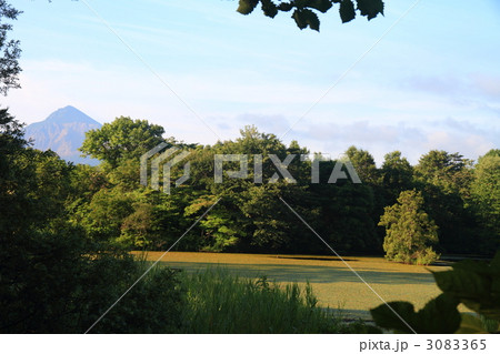 れんげ沼と磐梯山 3083365