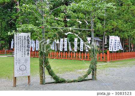 羽黒山散歩・大祓茅輪神事 3083523
