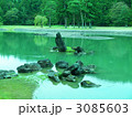 世界遺産　平泉　毛越寺　 3085603