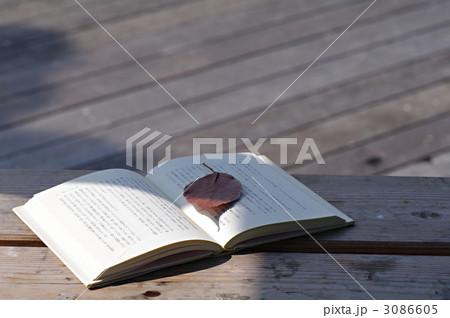 読書 3086605