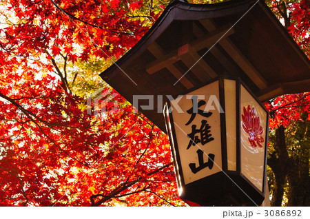 最乗寺の紅葉 3086892