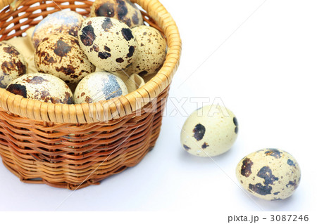 うずら卵 うずら卵 3087246