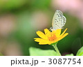 3087754