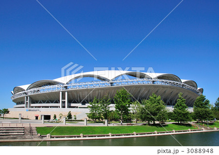 ビッグスワン  3088948