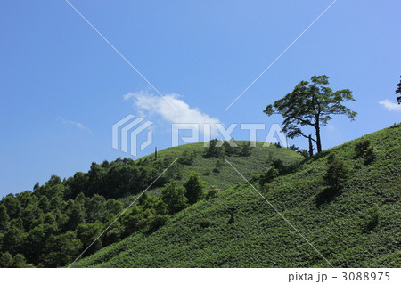 富士見台高原 富士見台高原 3088975